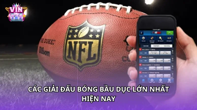 Các giải đấu bóng bầu dục lớn nhất hiện nay