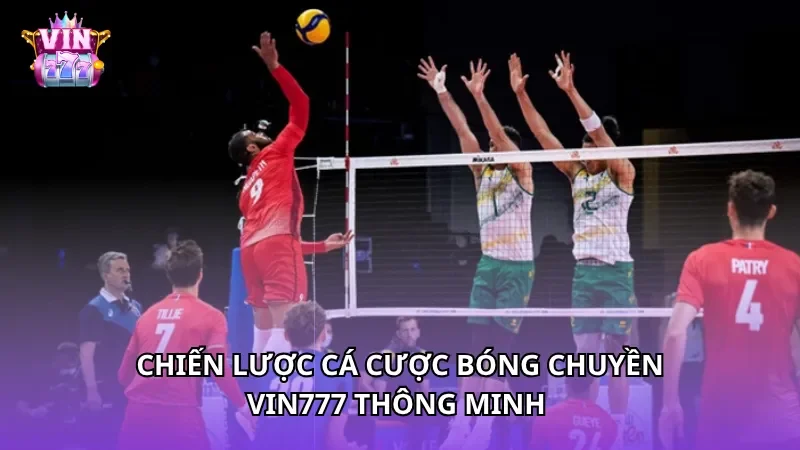 Chiến lược cá cược bóng chuyền Vin777 thông minh 