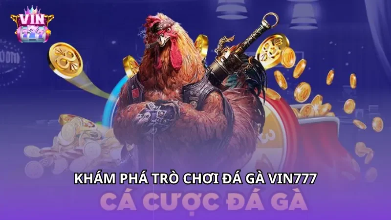 Khám phá trò chơi Đá gà Vin777